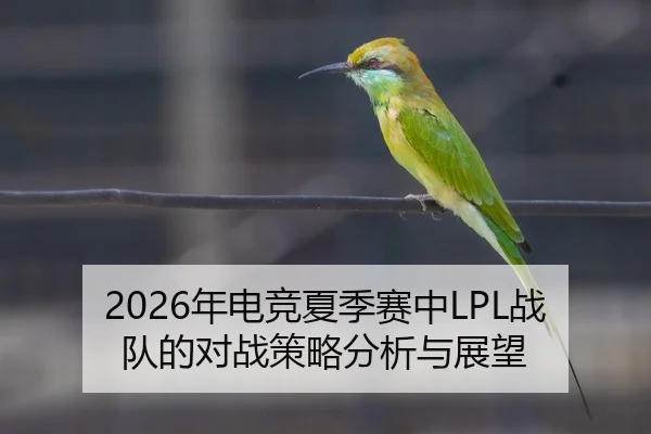 2026年电竞夏季赛中LPL战队的对战策略分析与展望