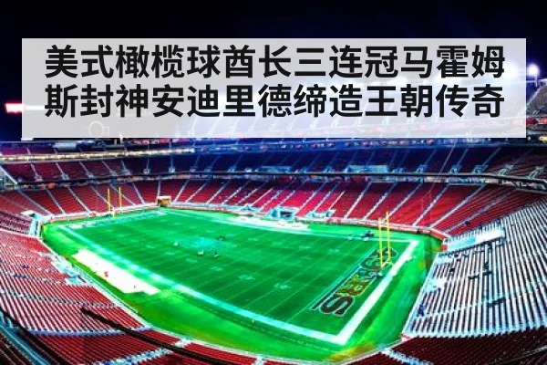 美式橄榄球酋长三连冠马霍姆斯封神安迪里德缔造王朝传奇