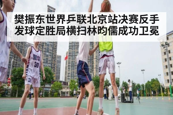 樊振东世界乒联北京站决赛反手发球定胜局横扫林昀儒成功卫冕