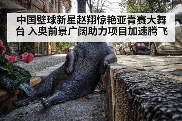 中国壁球新星赵翔惊艳亚青赛大舞台 入奥前景广阔助力项目加速腾飞